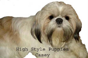 caseyupclosephotoshopcopy.jpg