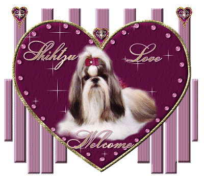 welcomeloveshihtzu.gif
